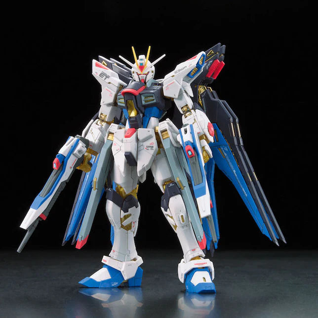 RG Strike Freedom Gundam 1/144