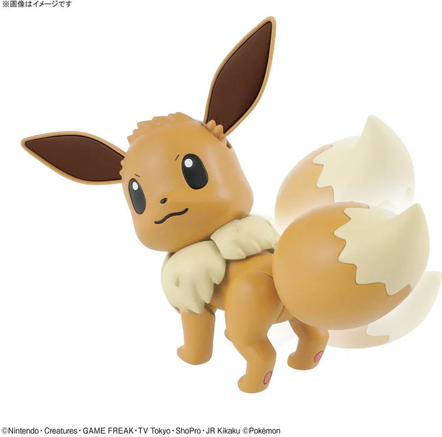 Pokemon Model Kit Quick!! 042 Eevee